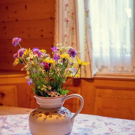 Appartement Haus Sonja Altaussee