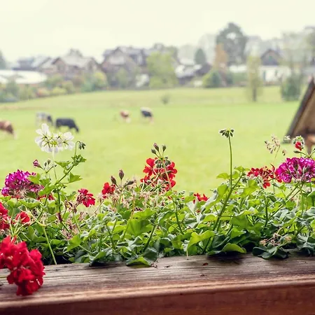 Appartement Haus Sonja